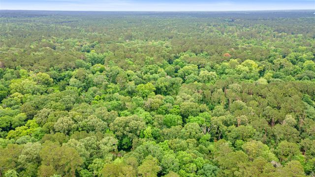 12572 Royal Creek Road, Conroe, TX 77303