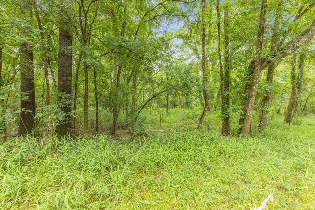 12572 Royal Creek Road, Conroe, TX 77303