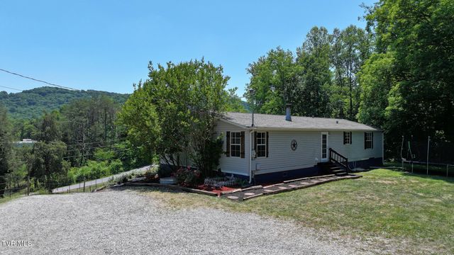 1475 Davis Valley Road, Afton, TN 37616