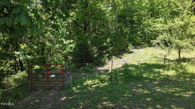 1475 Davis Valley Road, Afton, TN 37616