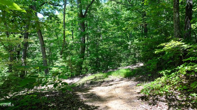 1475 Davis Valley Road, Afton, TN 37616