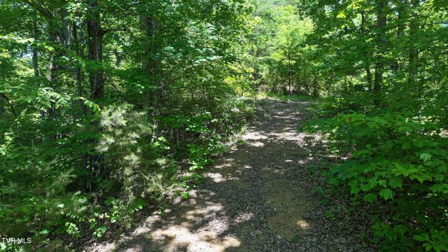 1475 Davis Valley Road, Afton, TN 37616