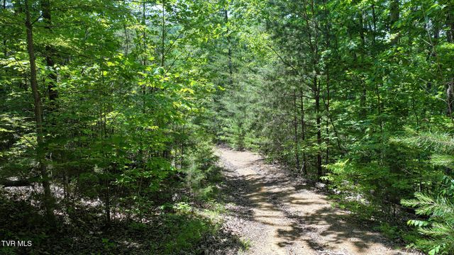 1475 Davis Valley Road, Afton, TN 37616