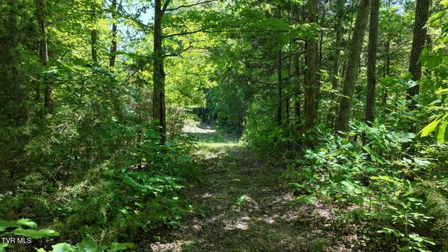 1475 Davis Valley Road, Afton, TN 37616