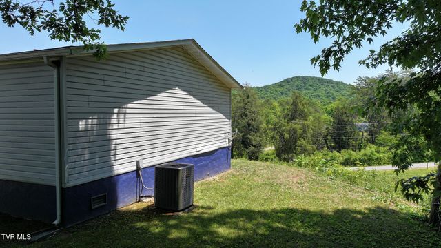 1475 Davis Valley Road, Afton, TN 37616