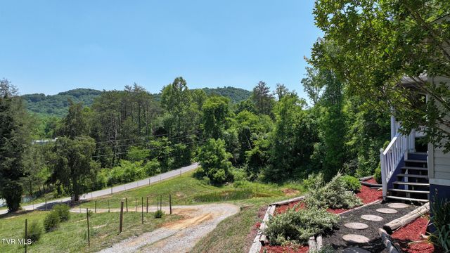 1475 Davis Valley Road, Afton, TN 37616