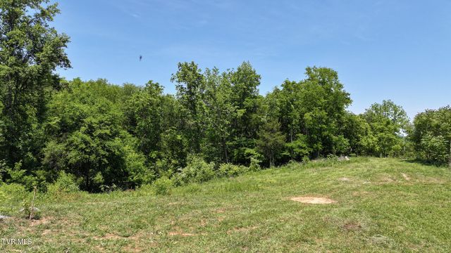 1475 Davis Valley Road, Afton, TN 37616