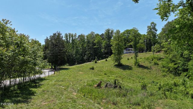 1475 Davis Valley Road, Afton, TN 37616