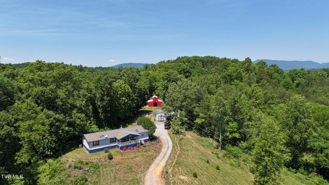 1475 Davis Valley Road, Afton, TN 37616