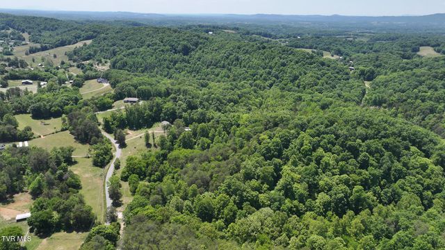 1475 Davis Valley Road, Afton, TN 37616