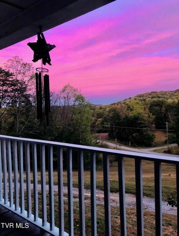 1475 Davis Valley Road, Afton, TN 37616