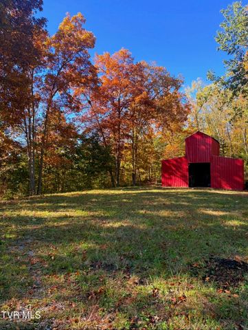 1475 Davis Valley Road, Afton, TN 37616