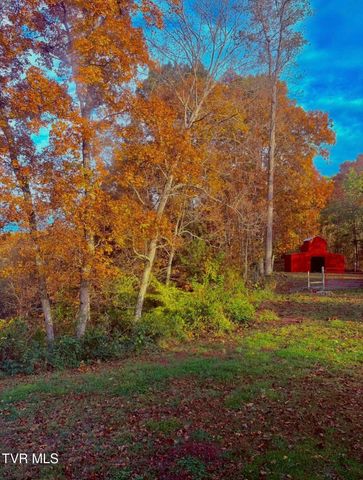 1475 Davis Valley Road, Afton, TN 37616