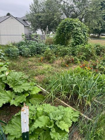 37728 Hawthorne Avenue, North Branch, MN 55056