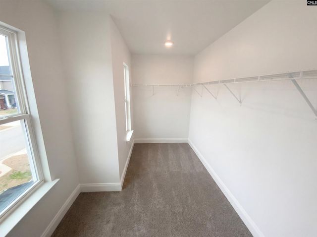 159 Hadleigh Drive, Lexington, SC 29072