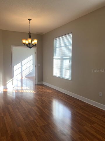 10804 SPRING MOUNTAIN PLACE, Tampa, FL 33626