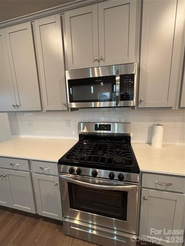 15733 Country House Street, Charlotte, NC 28273