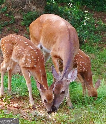 1265 Northshore Drive, Roswell, GA 30076