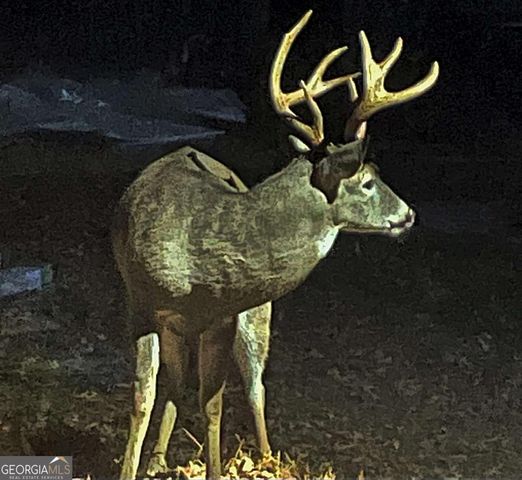 1265 Northshore Drive, Roswell, GA 30076