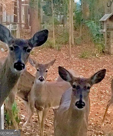 1265 Northshore Drive, Roswell, GA 30076