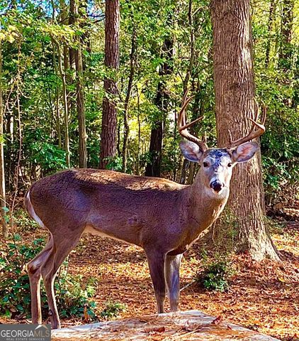 1265 Northshore Drive, Roswell, GA 30076