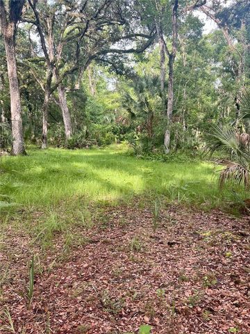 2260 PANORAMA DRIVE, Chuluota, FL 32766