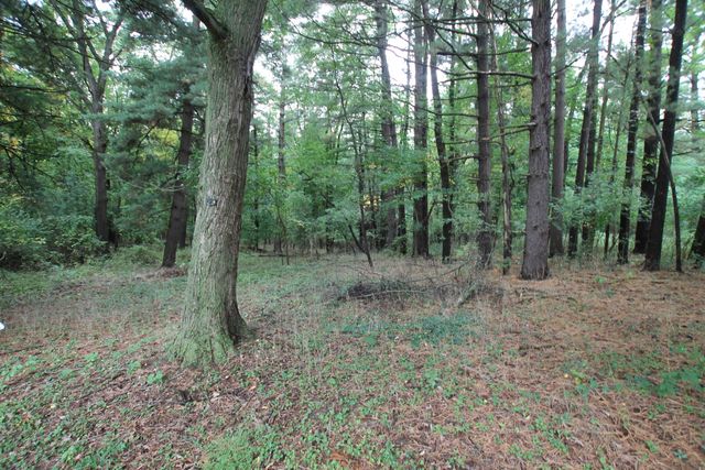 2921 Virginia Avenue, Kalamazoo City, MI 49004