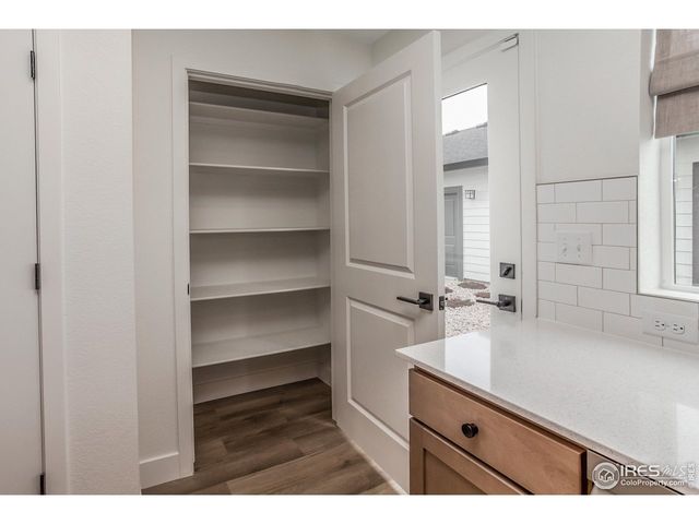 937 Trumpet Ln, Windsor, CO 80550