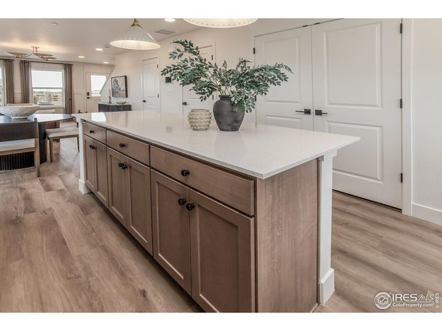 937 Trumpet Ln, Windsor, CO 80550