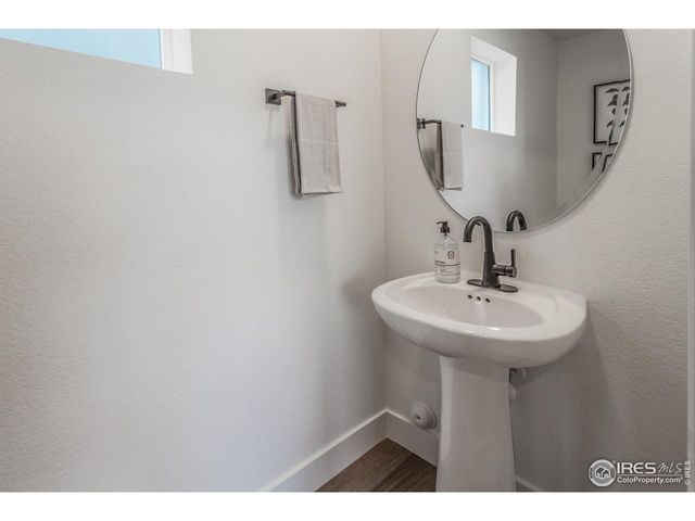 937 Trumpet Ln, Windsor, CO 80550