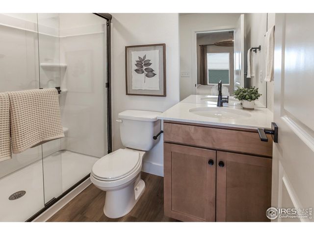 937 Trumpet Ln, Windsor, CO 80550