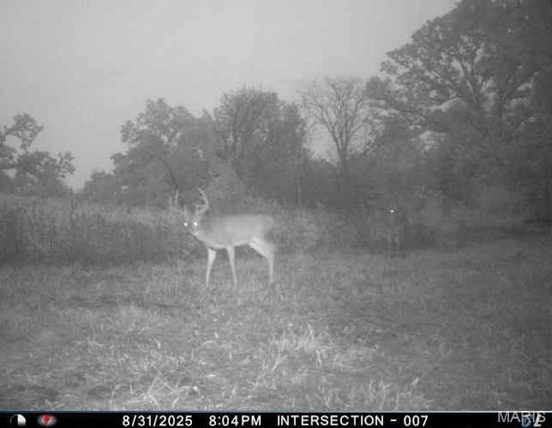 0 Helmet Rd., Unincorporated, MO 64645