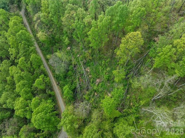 TBD Jacks Knob Road 49, Barnardsville, NC 28709
