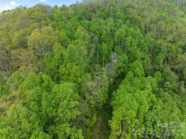 TBD Jacks Knob Road 49, Barnardsville, NC 28709