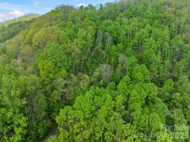 TBD Jacks Knob Road 49, Barnardsville, NC 28709