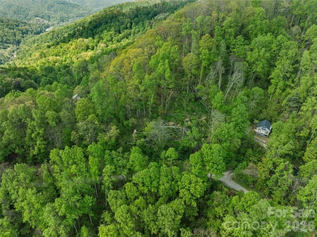 TBD Jacks Knob Road 49, Barnardsville, NC 28709