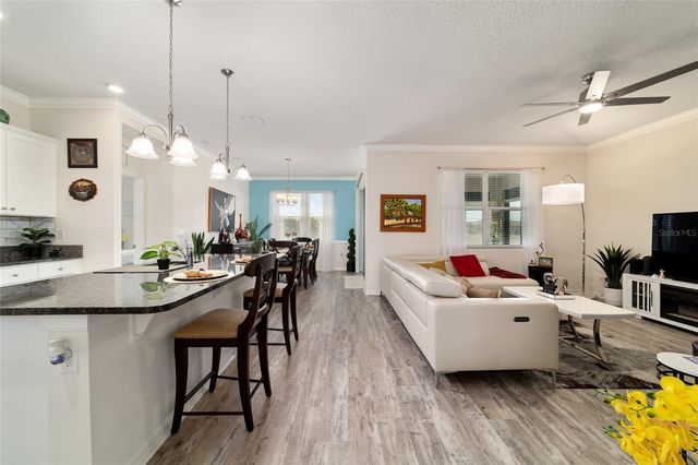 9238 SW 60TH TERRACE ROAD, Ocala, FL 34476