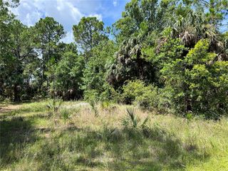 TBD GIRARD ROAD, Hudson, FL 34679