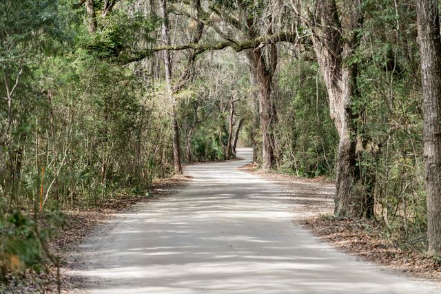 1130 Hammocks Way, Edisto Island, SC 29438