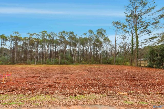 167 Jacque Jim Drive, Huntsville, AL 35810