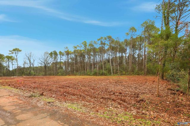 167 Jacque Jim Drive, Huntsville, AL 35810