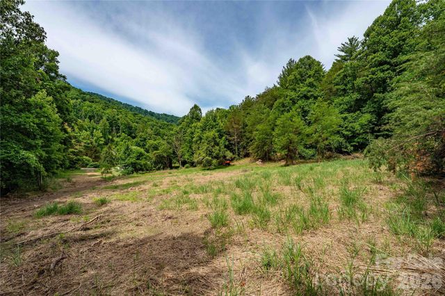 9999 Morgan Branch Road, Weaverville, NC 28787