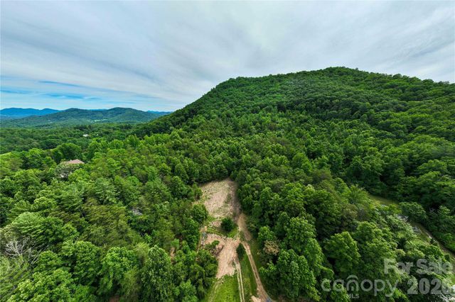 9999 Morgan Branch Road, Weaverville, NC 28787