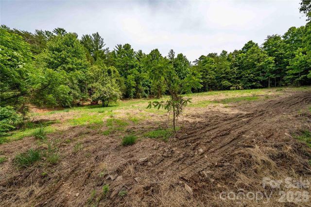 9999 Morgan Branch Road, Weaverville, NC 28787