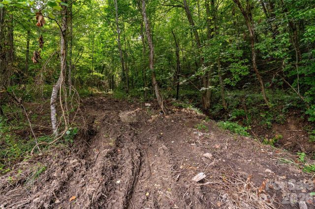 9999 Morgan Branch Road, Weaverville, NC 28787