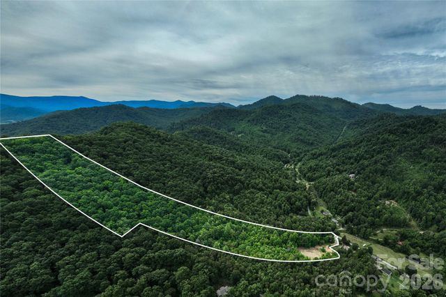 9999 Morgan Branch Road, Weaverville, NC 28787