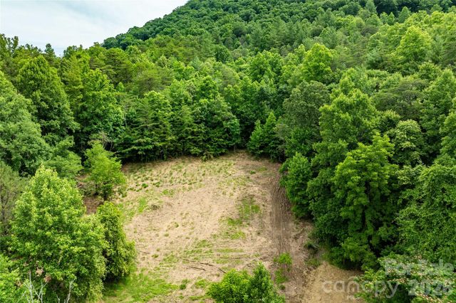 9999 Morgan Branch Road, Weaverville, NC 28787