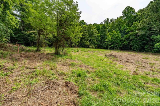 9999 Morgan Branch Road, Weaverville, NC 28787