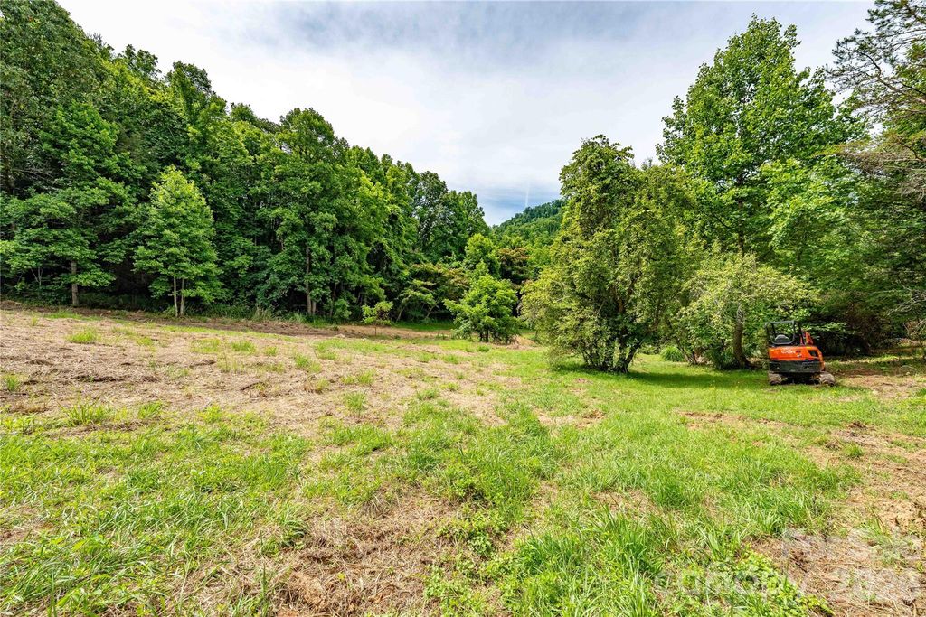 9999 Morgan Branch Road, Weaverville, NC 28787