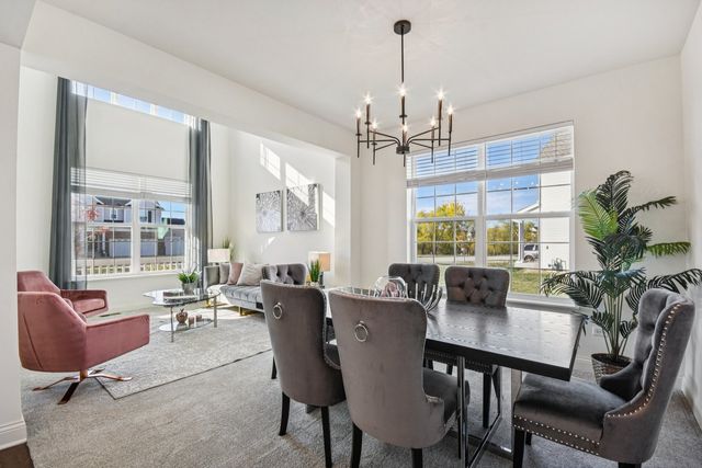 25504 W Rocky Creek Road, Plainfield, IL 60586